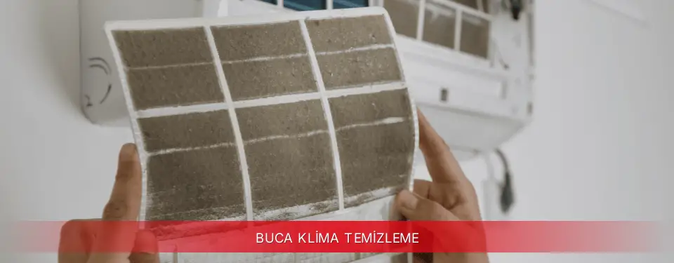 Buca İlçemi Viessmann Klima Temizleme